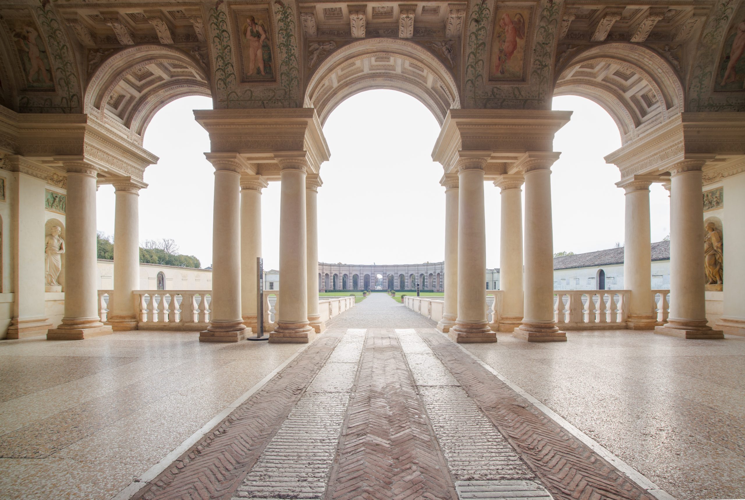 10 Loggia David D