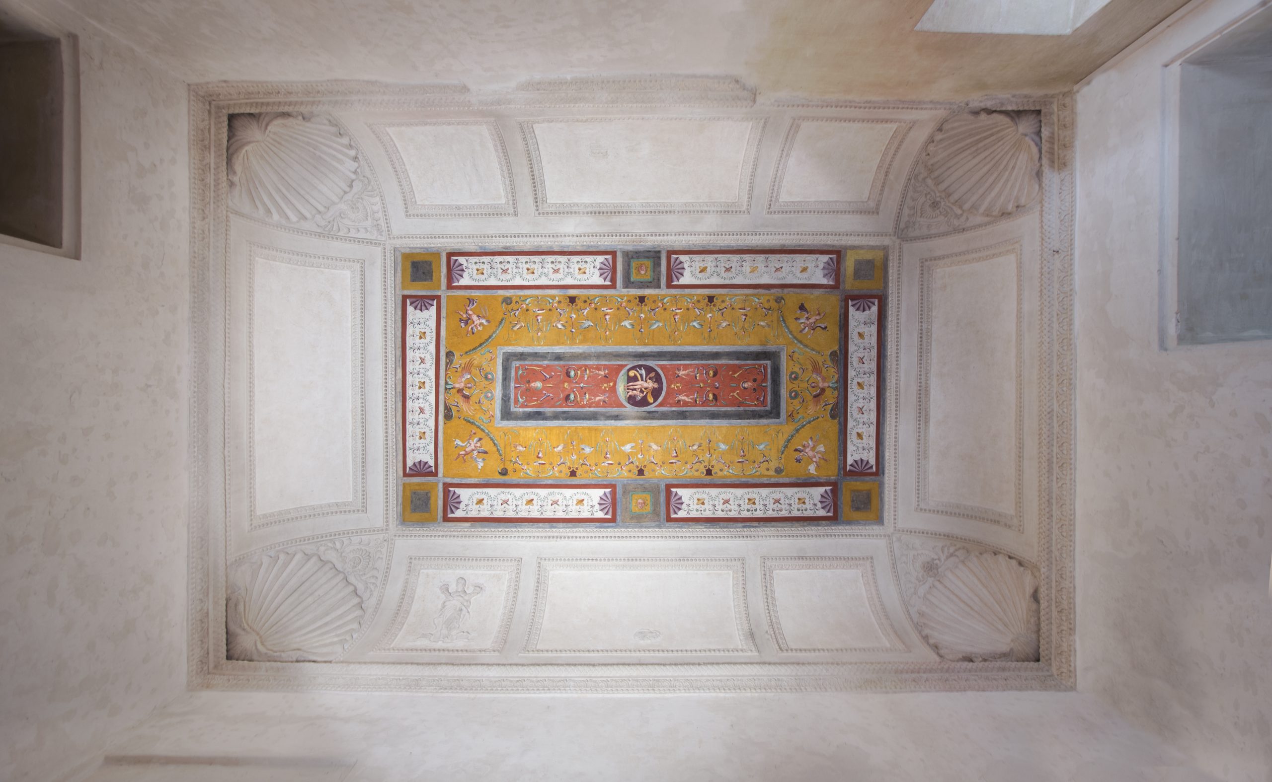 14 Camerino Venere
